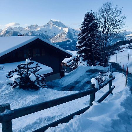 3,5 Pces - 80M2- Villars-Sur-Ollon Exteriör bild